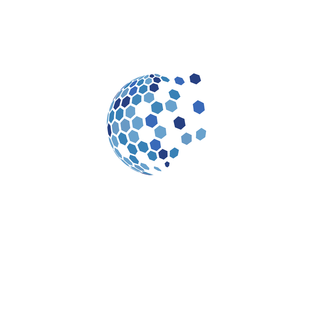 STC Consulting School 
